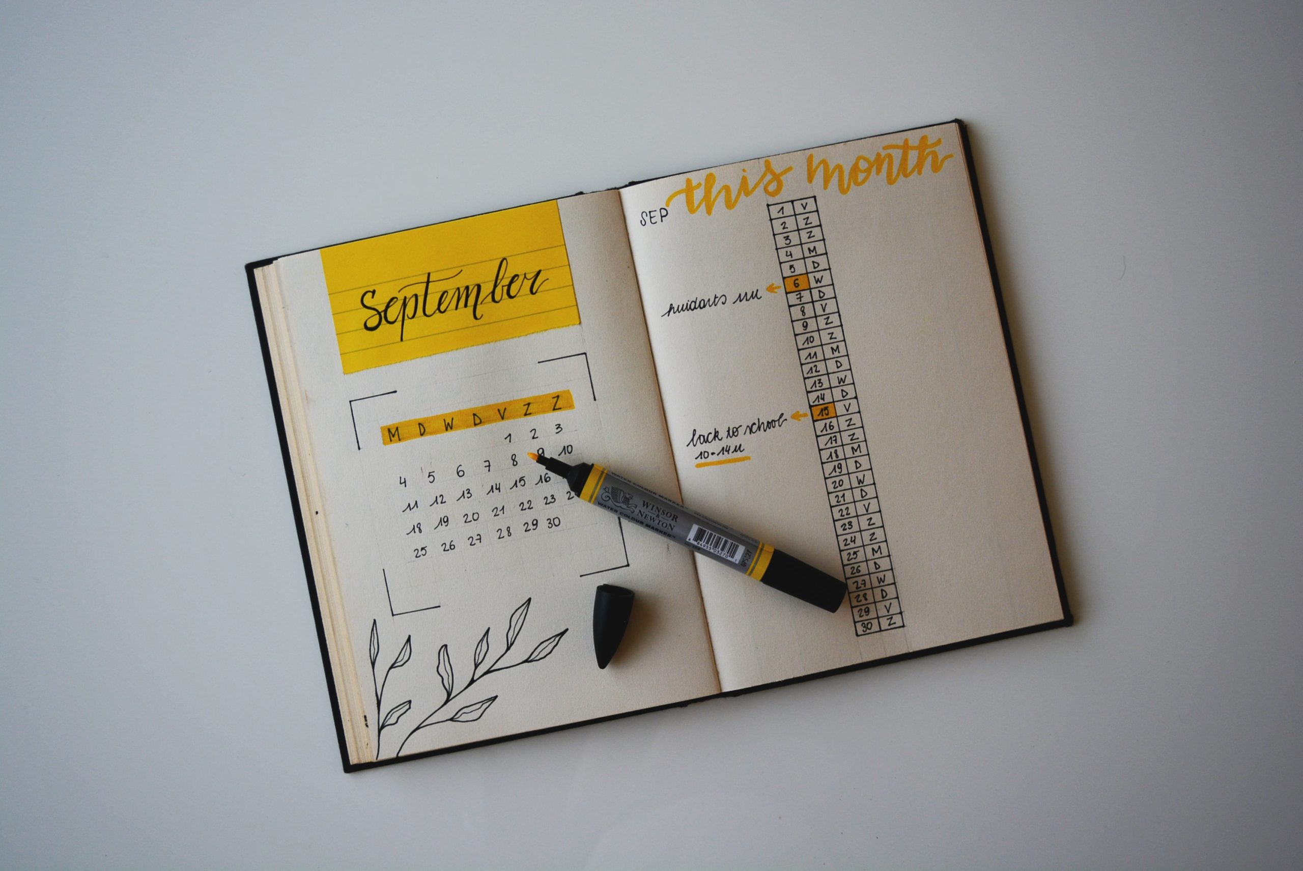 Le Bullet Journal : comment faire vos notes pour vos révisions.